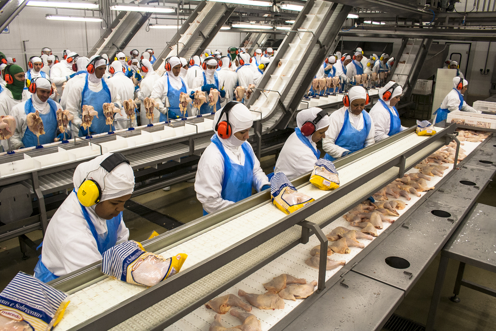 Food Packers Job